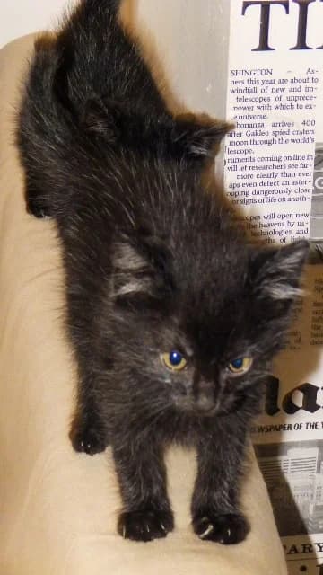 Готови да си отидат вкъщи photo 8