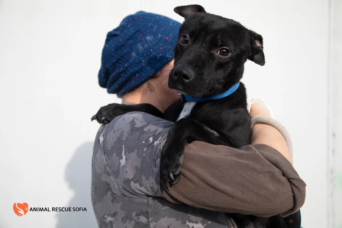 Харви – история, която не биваше да се случва photo 2