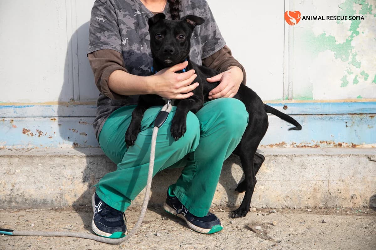 Харви – история, която не биваше да се случва photo 5