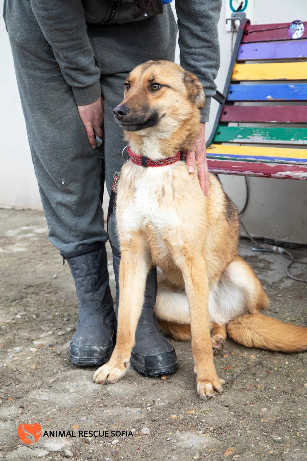 Клатетата photo 3