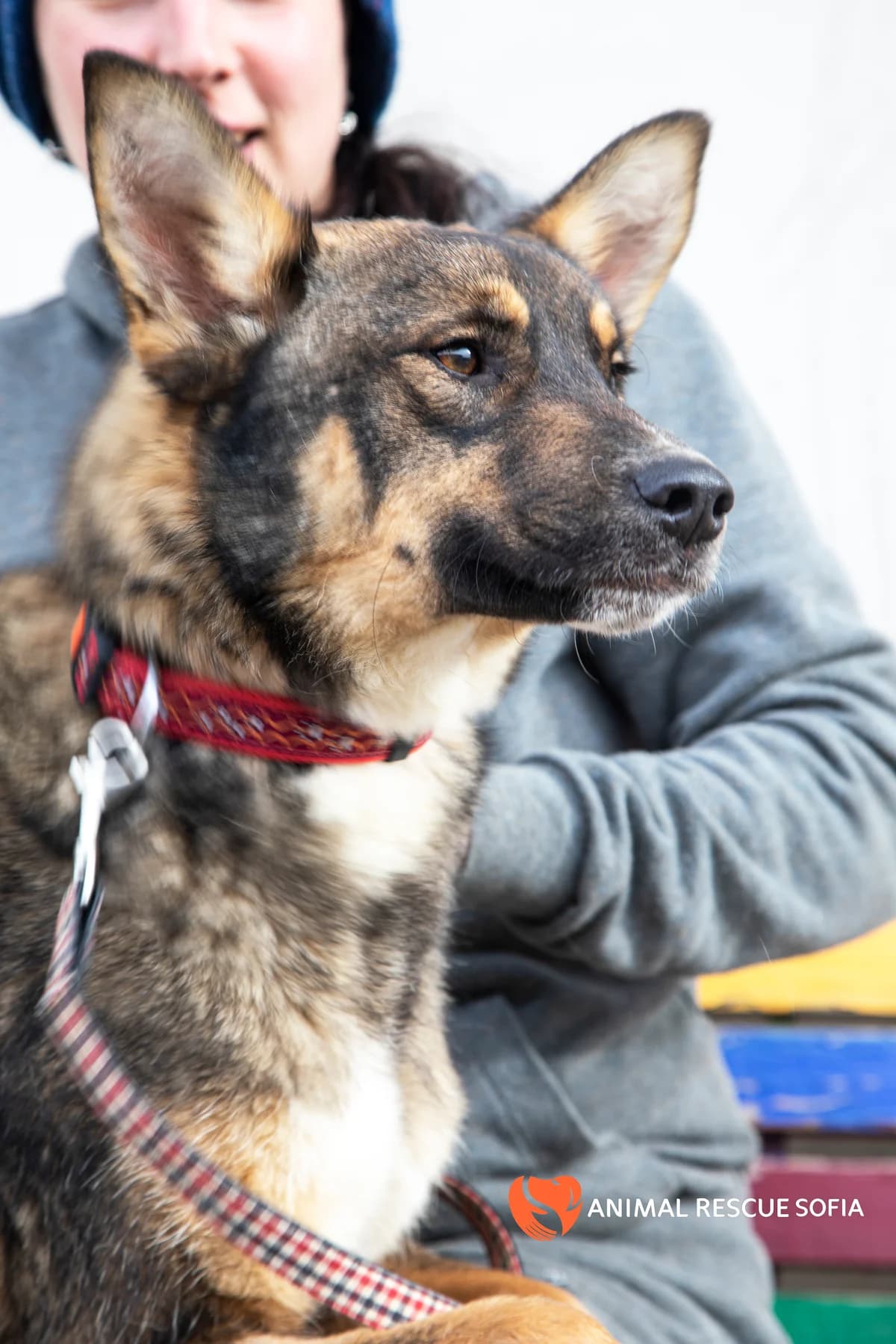 Клатетата photo 5