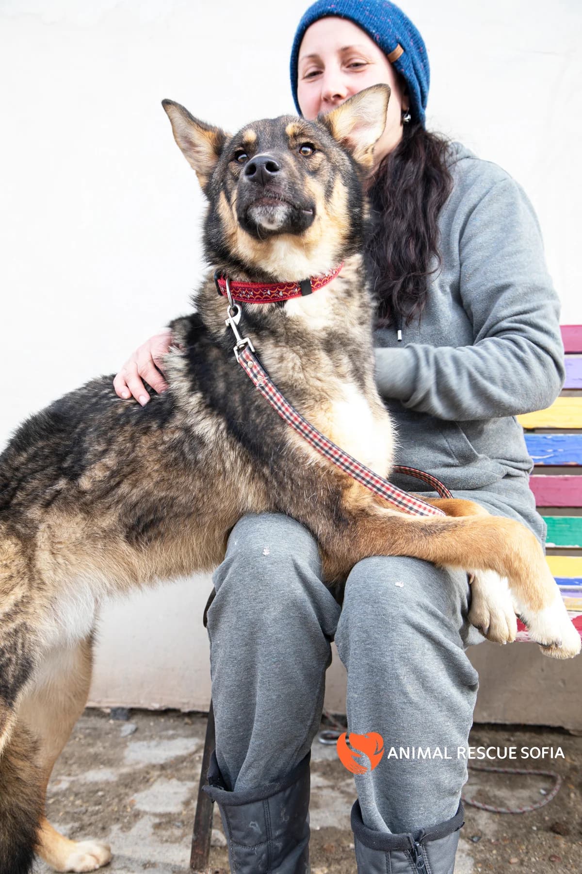 Клатетата photo 6