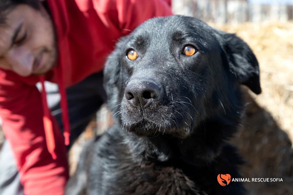 Яж, пази се и обичай photo 3