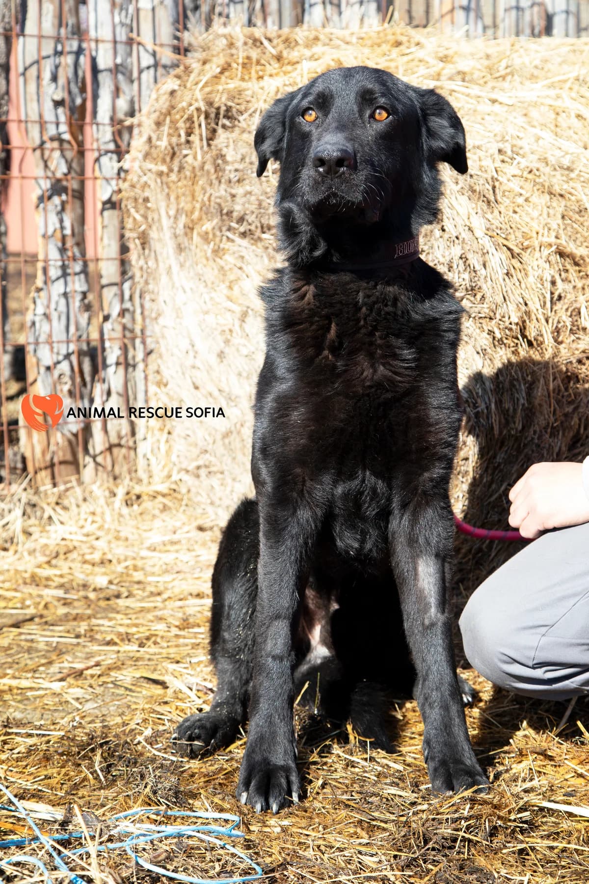 Яж, пази се и обичай photo 4