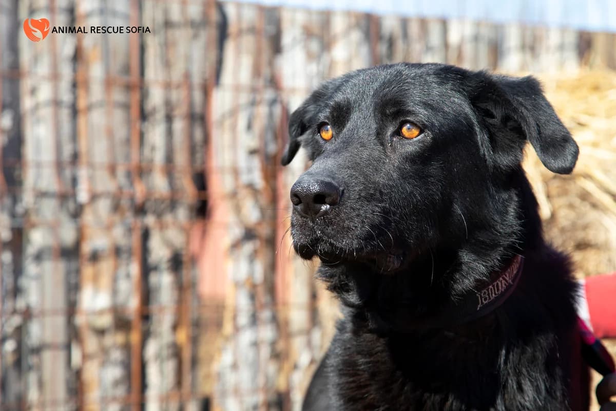 Яж, пази се и обичай photo 6