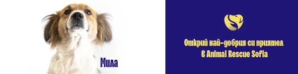 Защото вече те обичам!