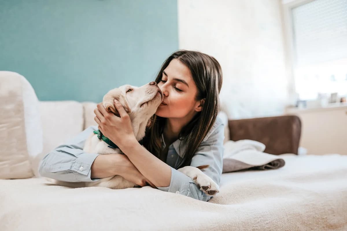 Aktive Magyar Vizsla Welpin sucht neues Zuhause