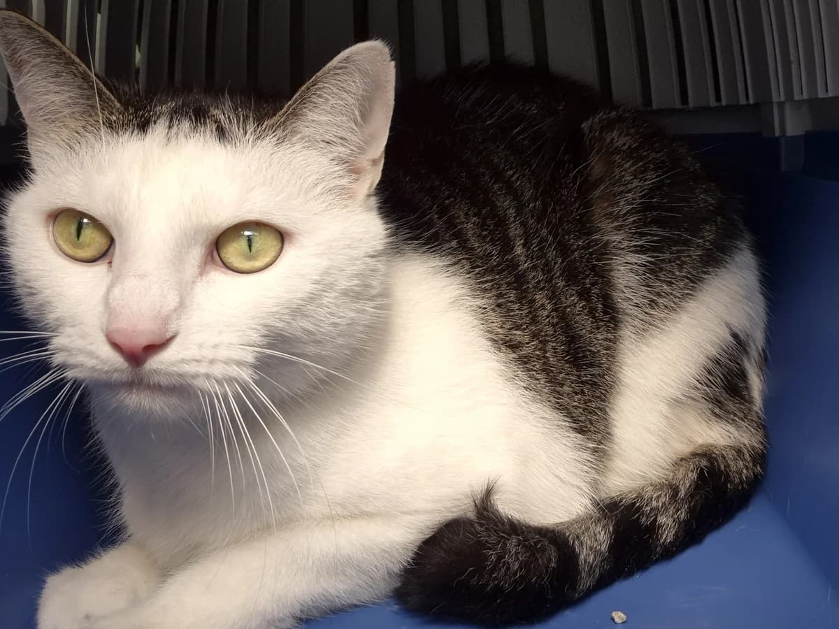 Willi & Pauli photo 3