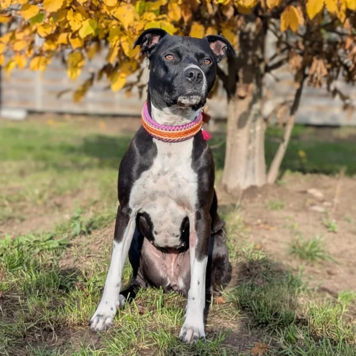 Emily Erdbeere photo 5