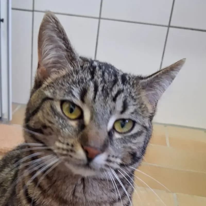 Lydia (reserviert) photo 2