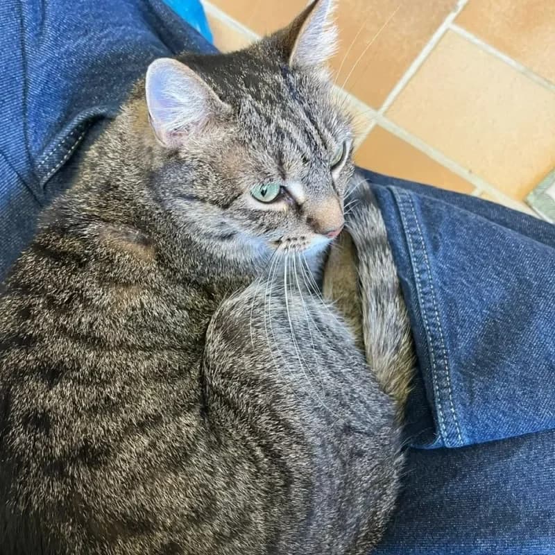 Mimi und Mia (reserviert) photo 4