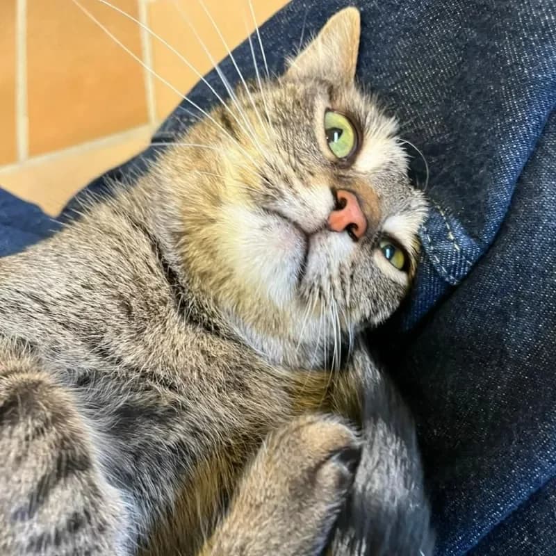 Mimi und Mia (reserviert) photo 5