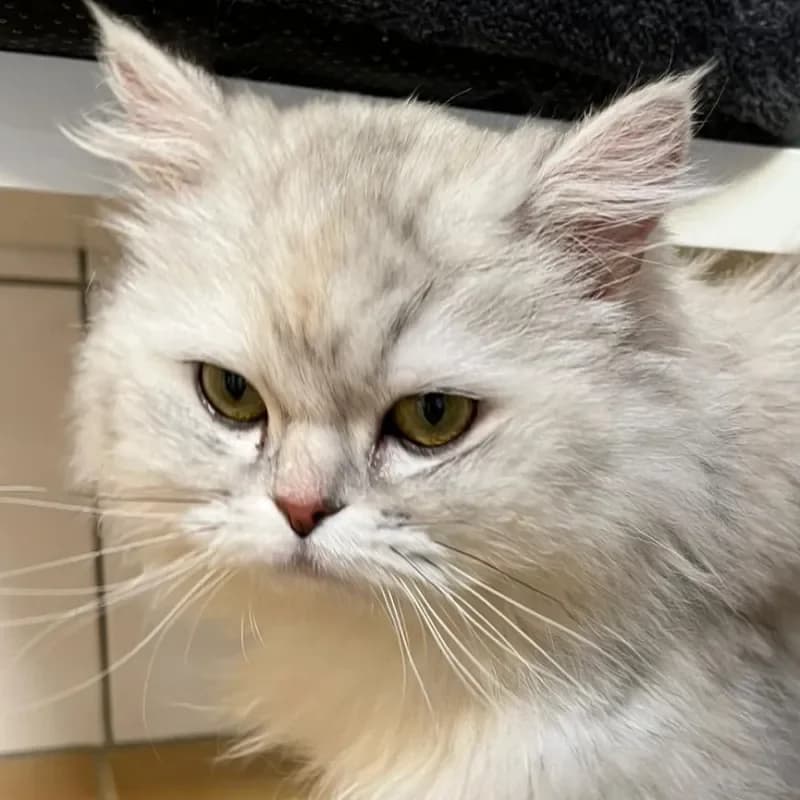 Sophie (in Behandlung) photo 2