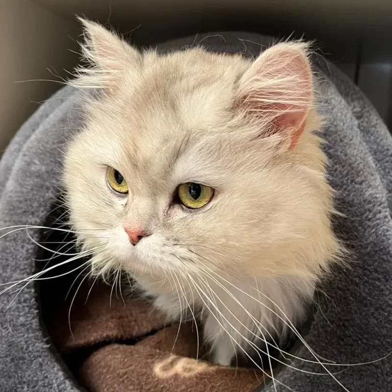 Sophie (in Behandlung) photo 3