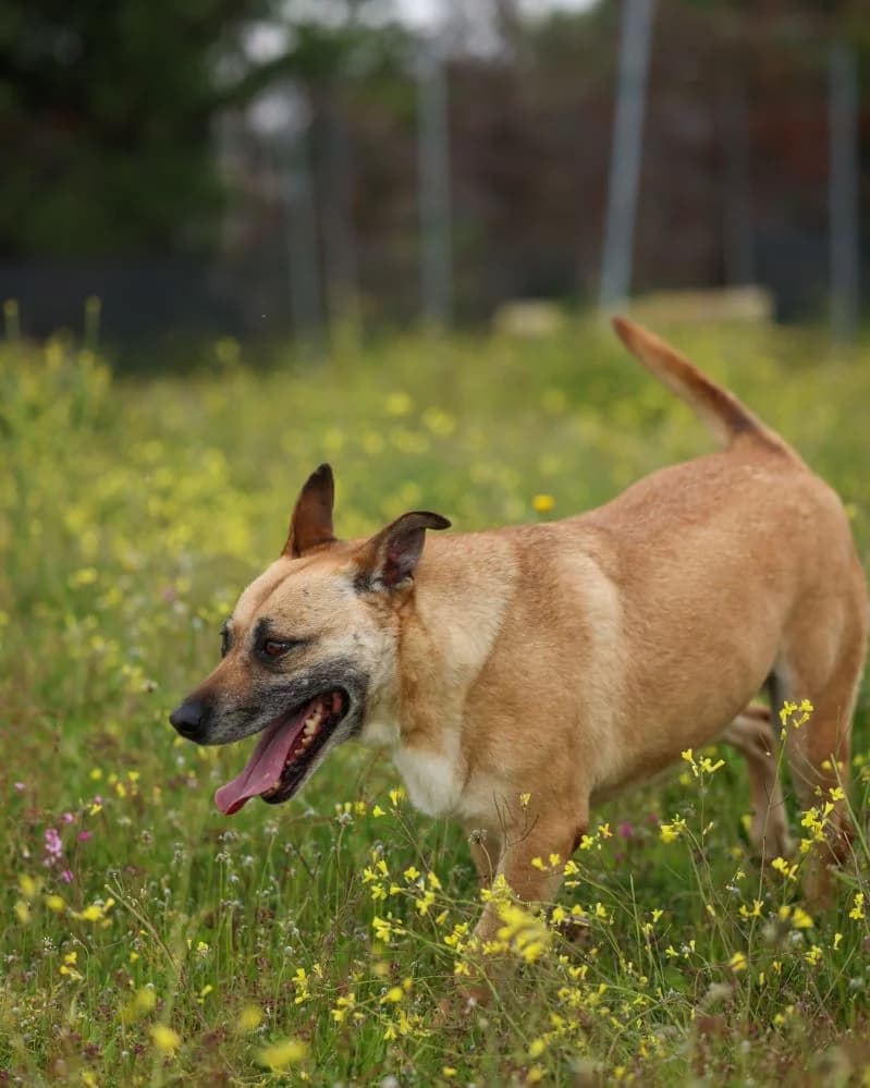 Zafira RESERVADA photo 5