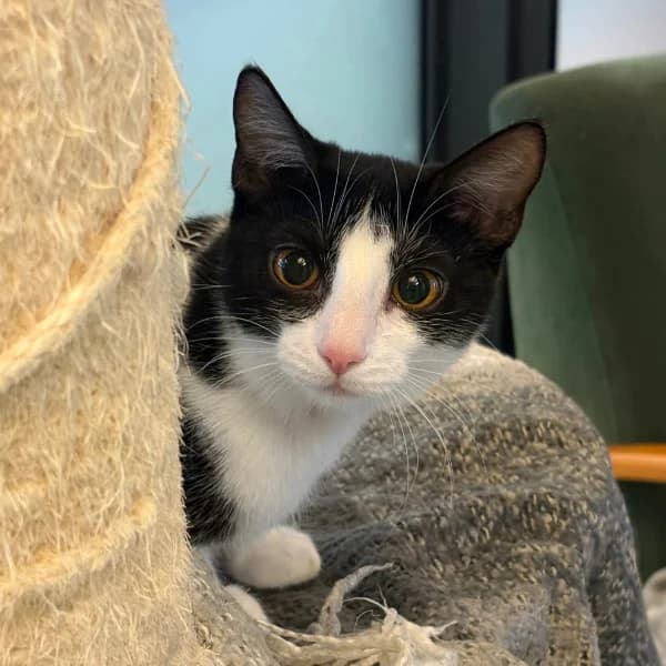 Esteri ja Nessi photo 2