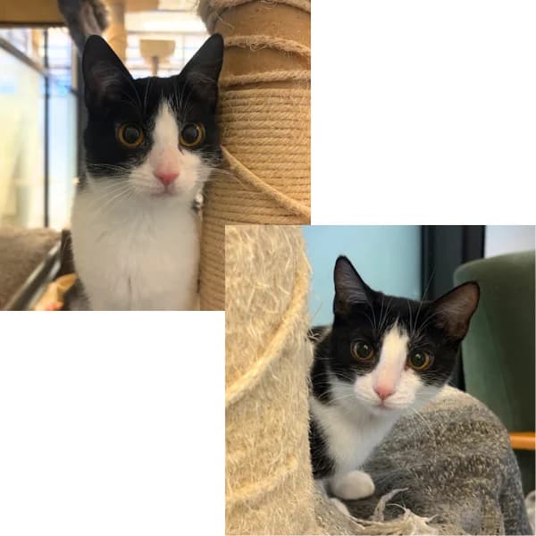 Esteri ja Nessi photo 3