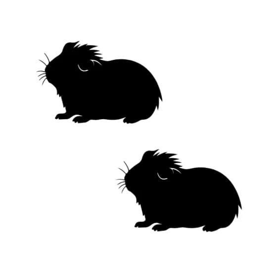 Helmut ja Harris photo 2