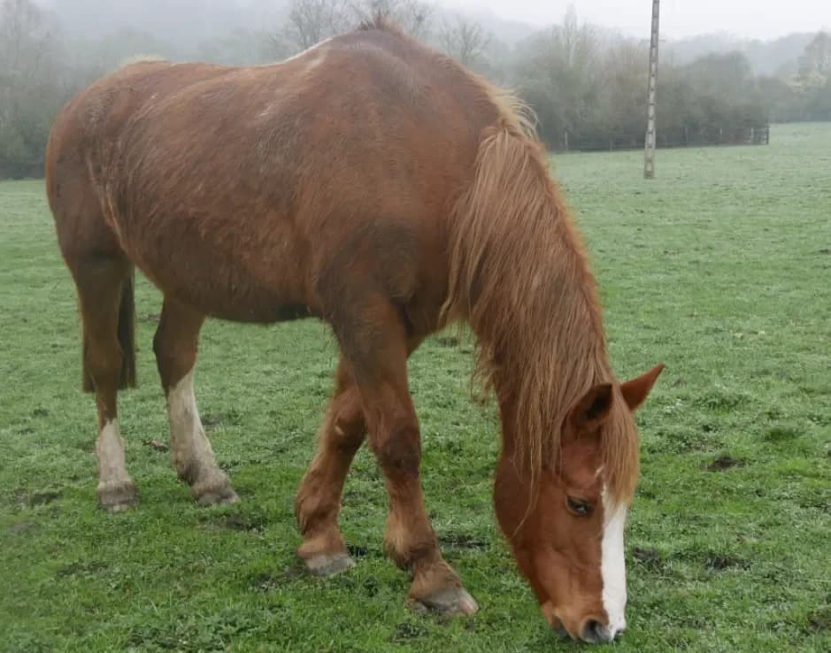 ZUMBA DE BELNOE photo 2