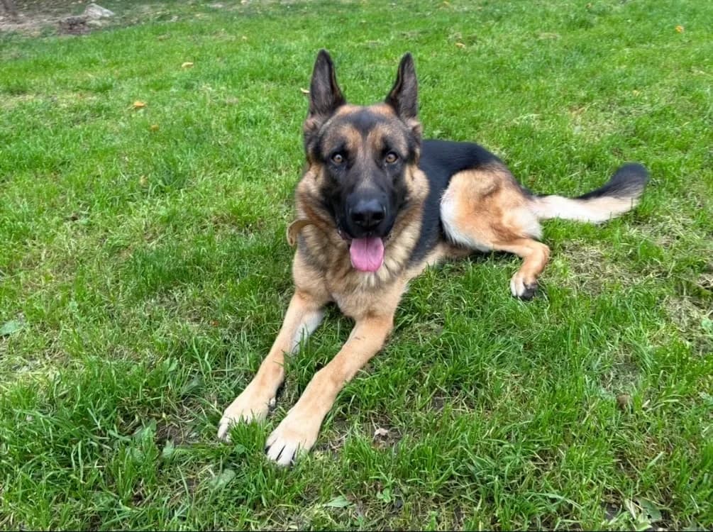 ERWAN paa23029 photo 2