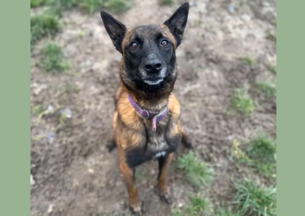 NOPATCHAI HAA24656 photo 2