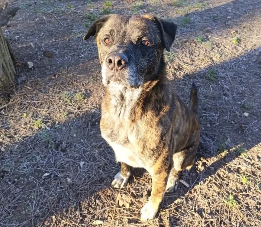 Harley réservé photo 2