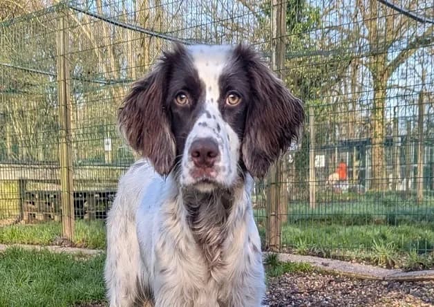 MINETTE (réservée) photo 2