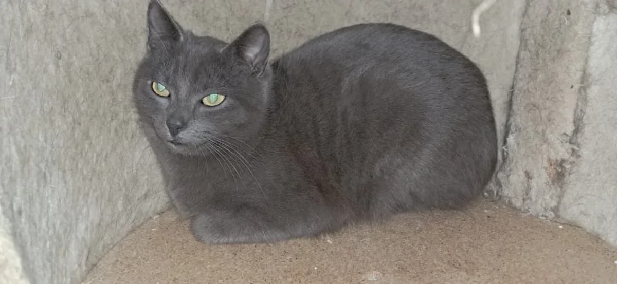 Best of (réservé) photo 2