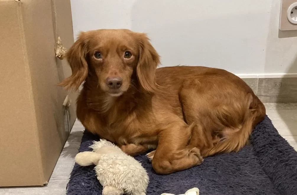 JAX (réservé) photo 2