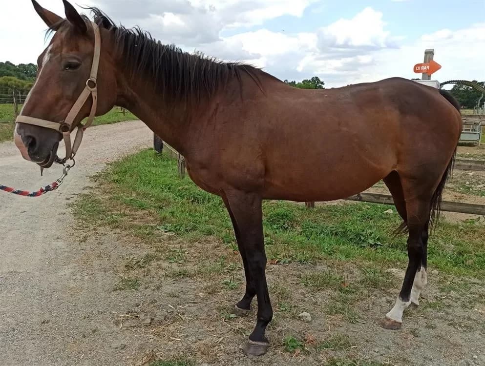 MUSIC IN BLUE photo 2