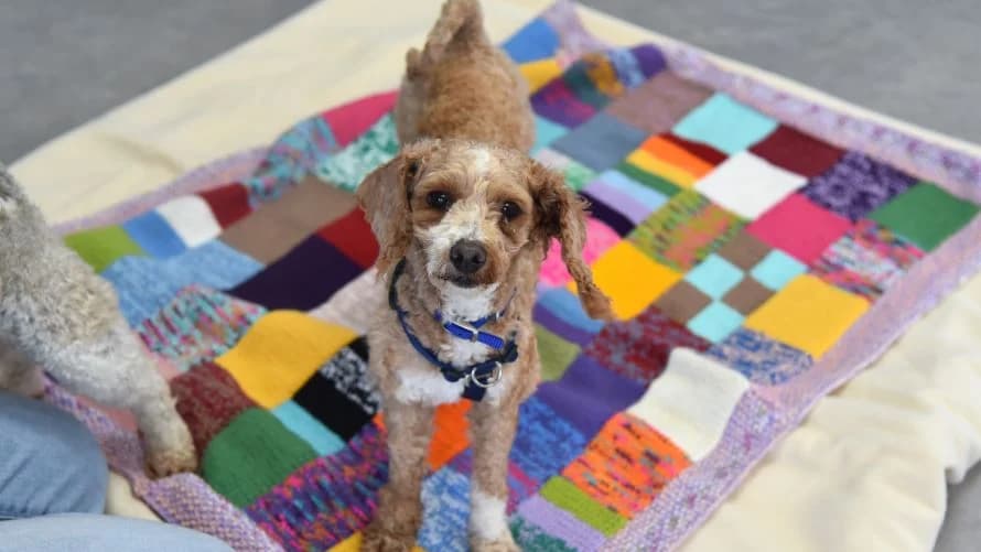 Peach (& Pear) photo 2