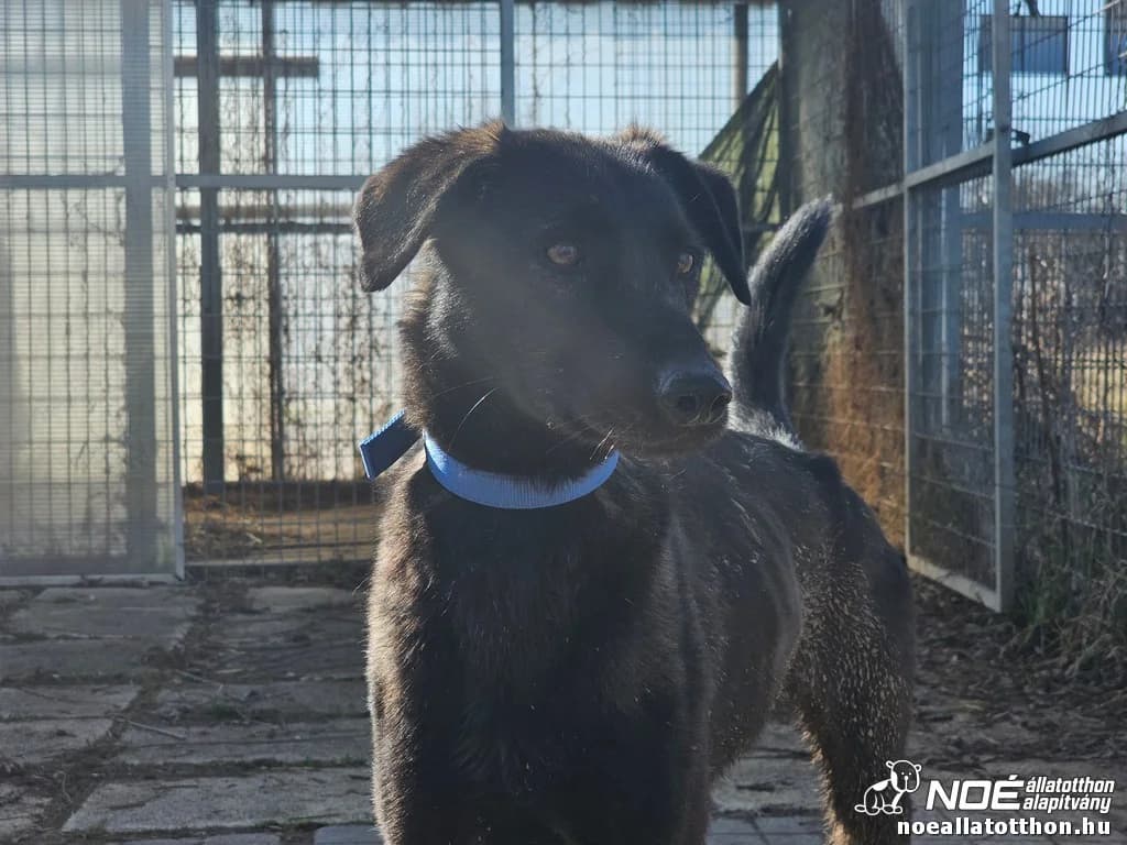 Kál család Kapolcs photo 2