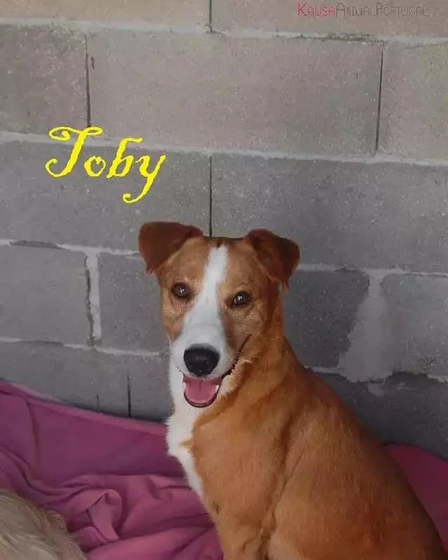 PETIFYC10253 photo 6