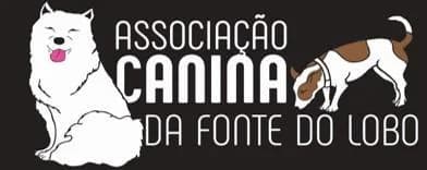 PETIFYC10336 photo 6