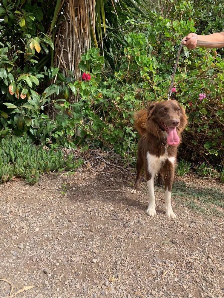 PETIFYC10363 photo 8