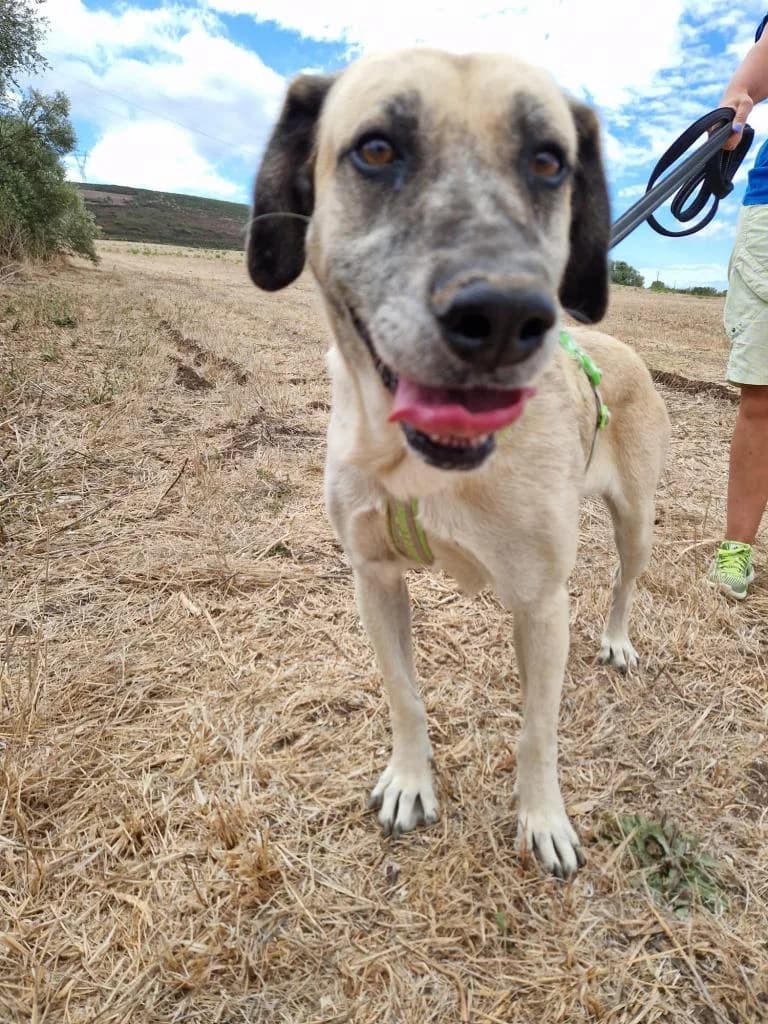 PETIFYC10366 photo 6