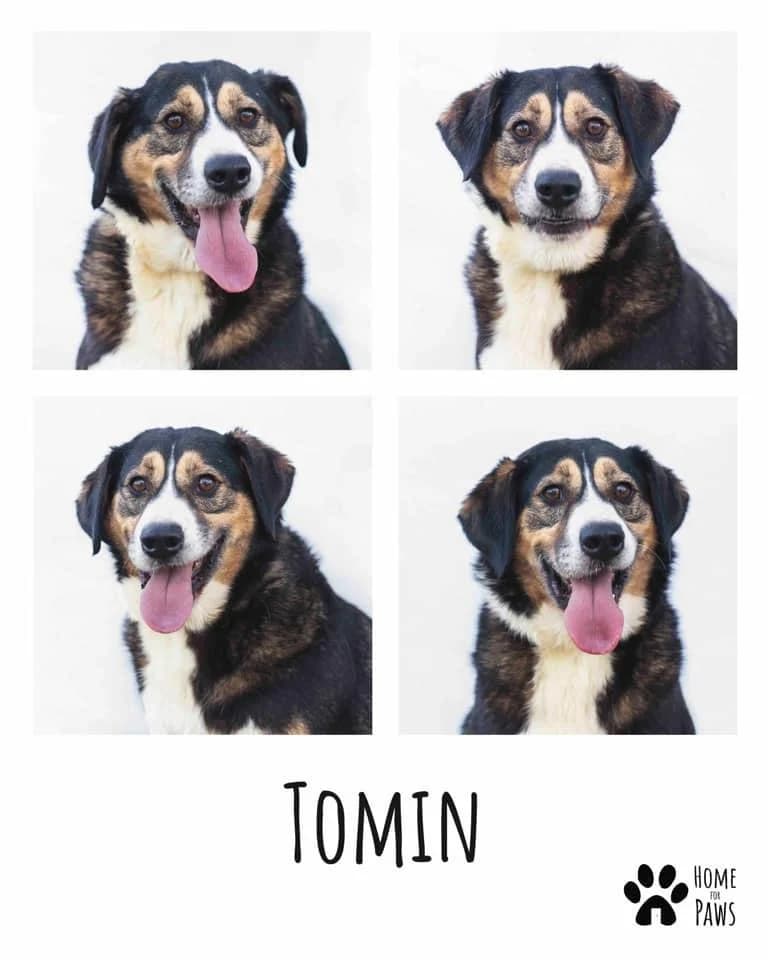 PETIFYC10399 photo 6