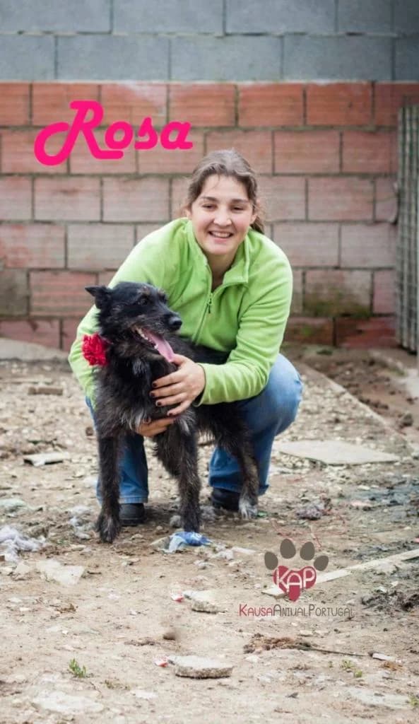 PETIFYC10534 photo 6