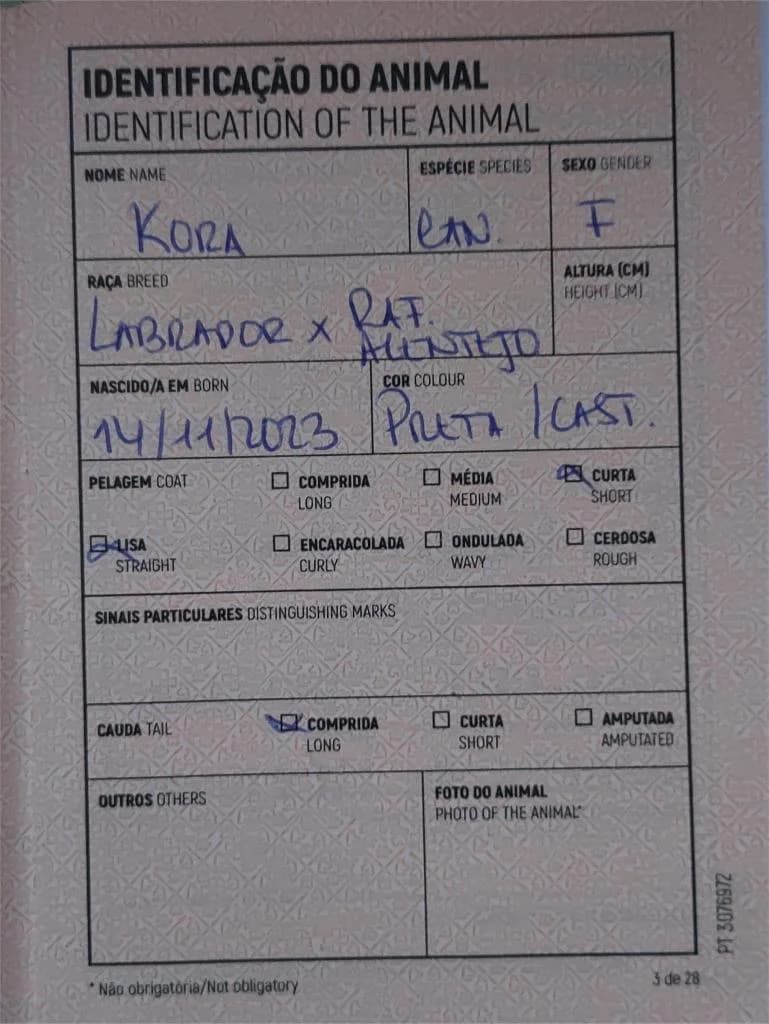 PETIFYC10544 photo 7