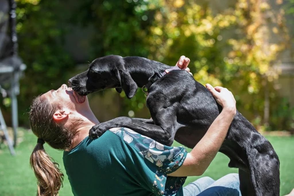 PETIFYC10546 photo 5