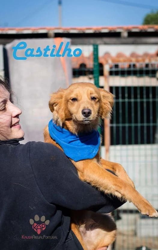 PETIFYC10605 photo 8