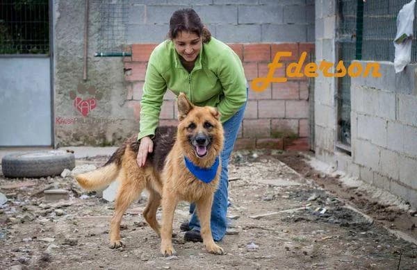 PETIFYC10662 photo 5