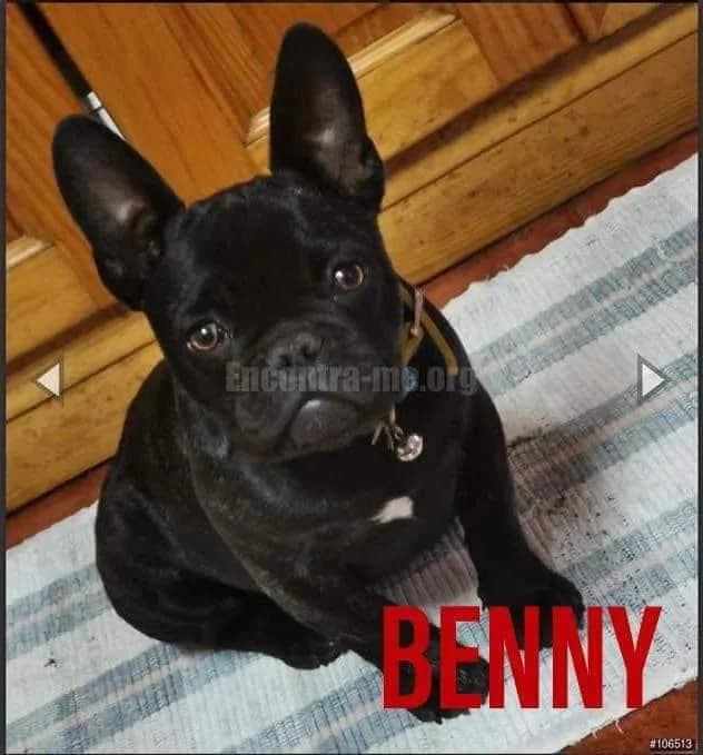 PETIFYC10819 photo 7