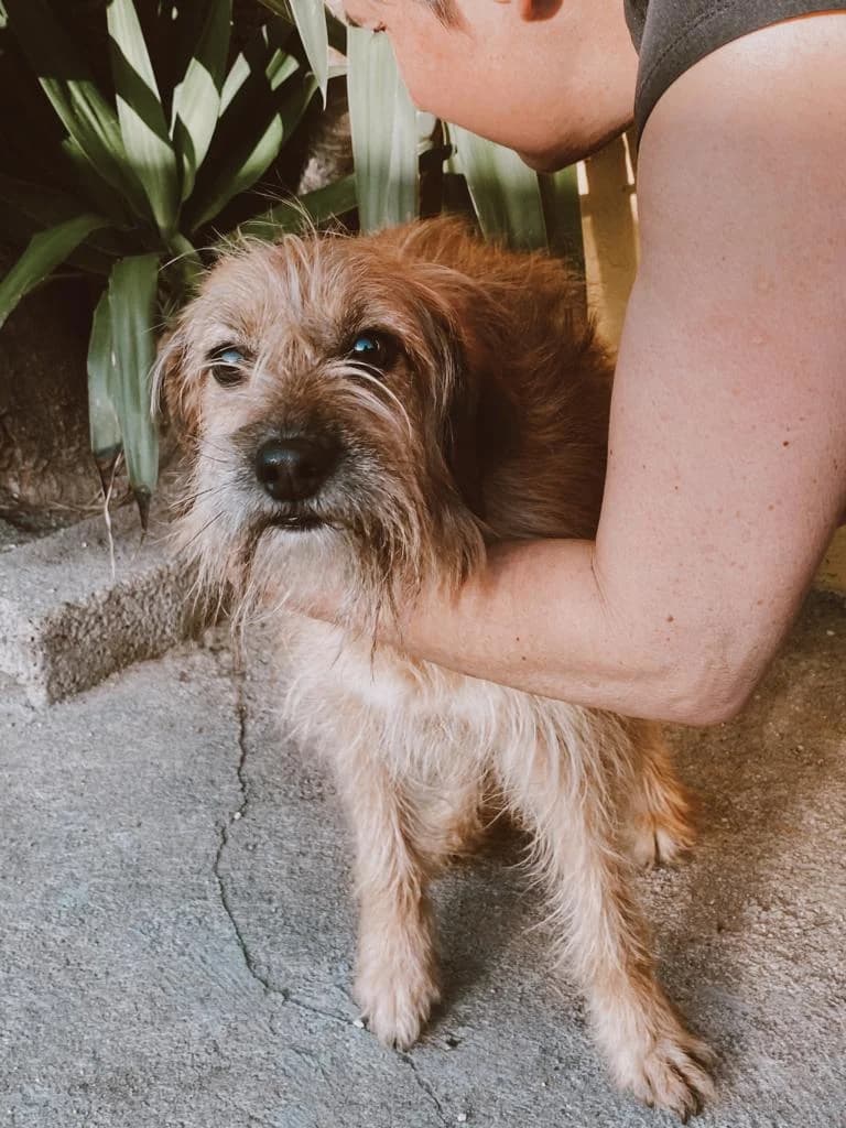 PETIFYC10721 photo 8