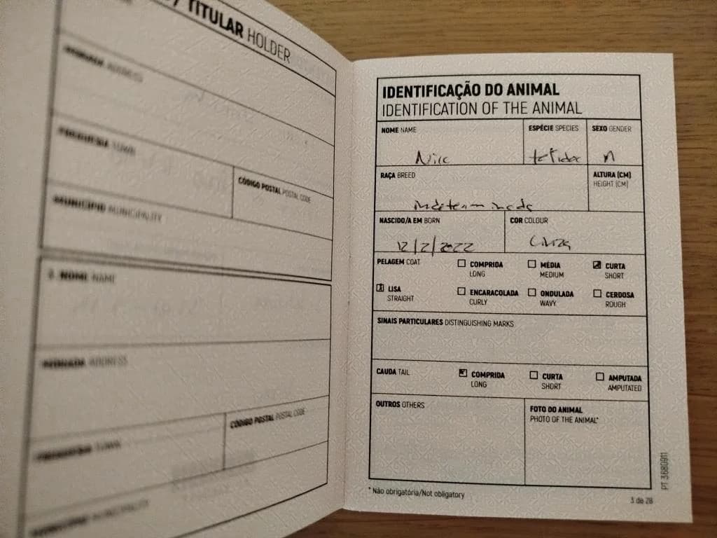 PETIFYG11383 photo 8