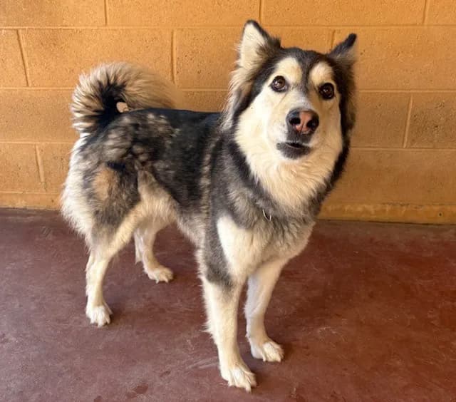 DISNEY PAA24130 photo 2