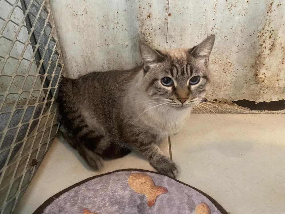 NALA QCT ( a trouvé sa famille)