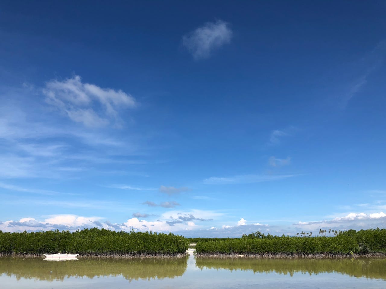 Bringing Your Dog from United States to Slovenia: Complete April 2026 Guide